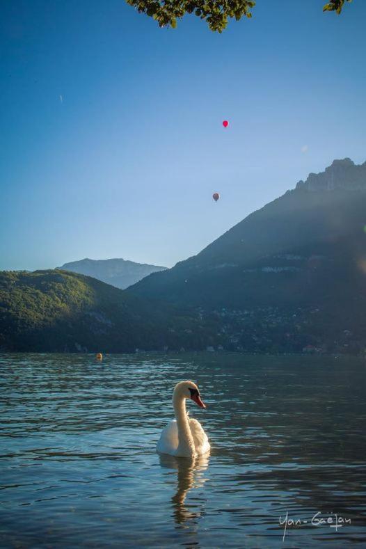 Lpa Daire Annecy Dış mekan fotoğraf